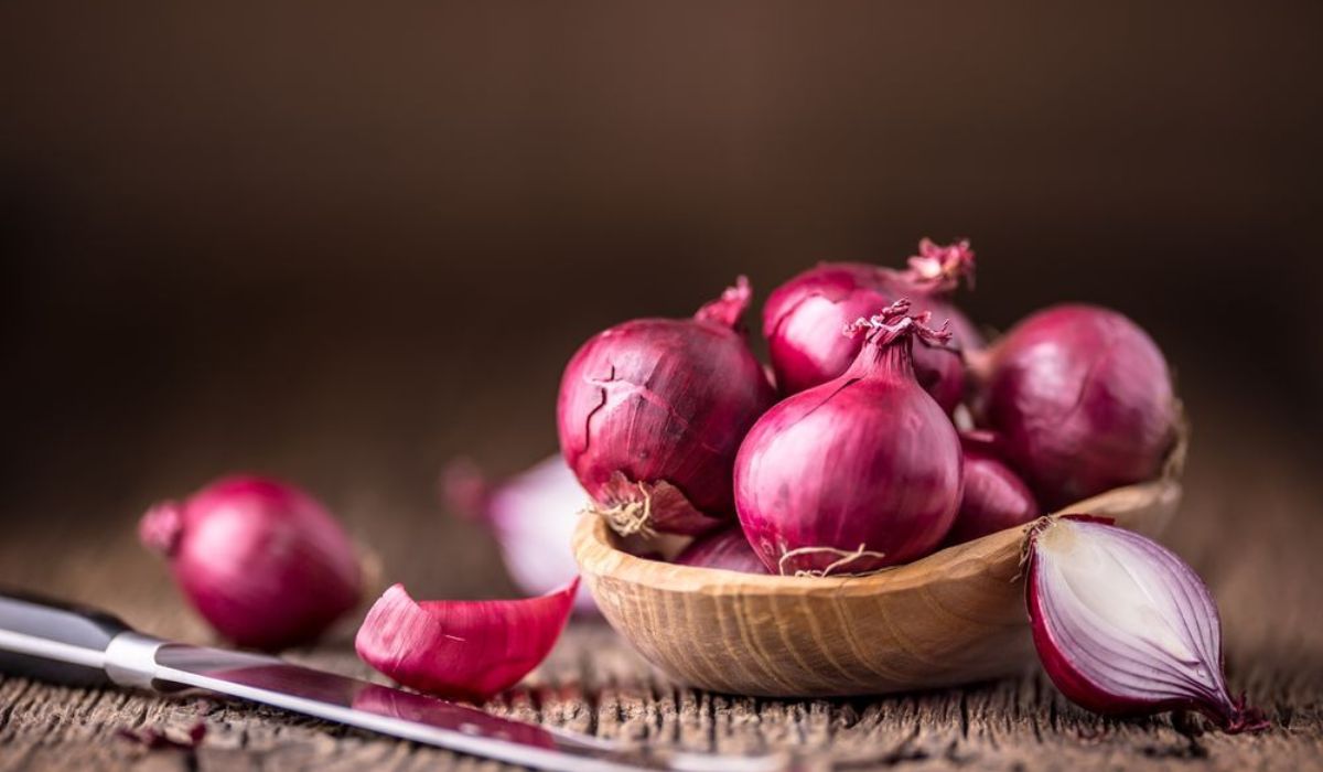 The Many Layers of the Onion: Unpeeling the Secrets Within