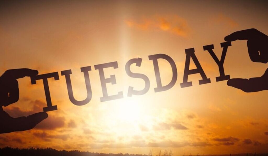 Bless Tuesday: A Day of Reflection and Gratitude