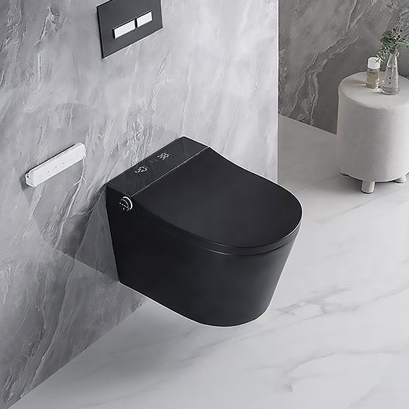 Black Bidet Toilets