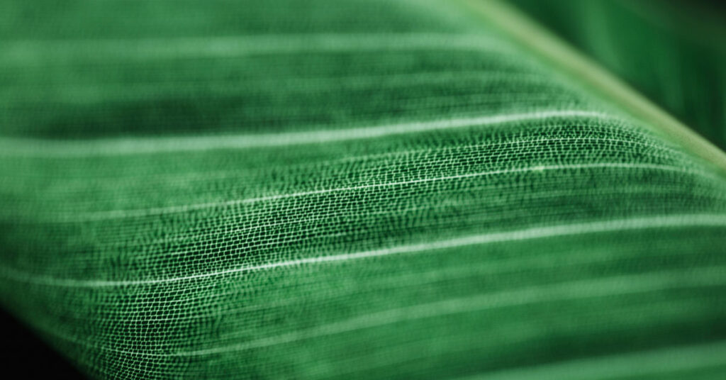 Tex9.net Green IT