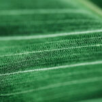 Tex9.net Green IT
