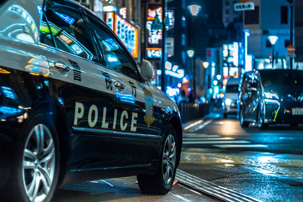 Private Investigator AI