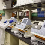 Bonito Biosciences