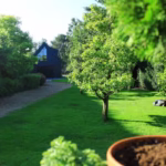 Verde Property Services